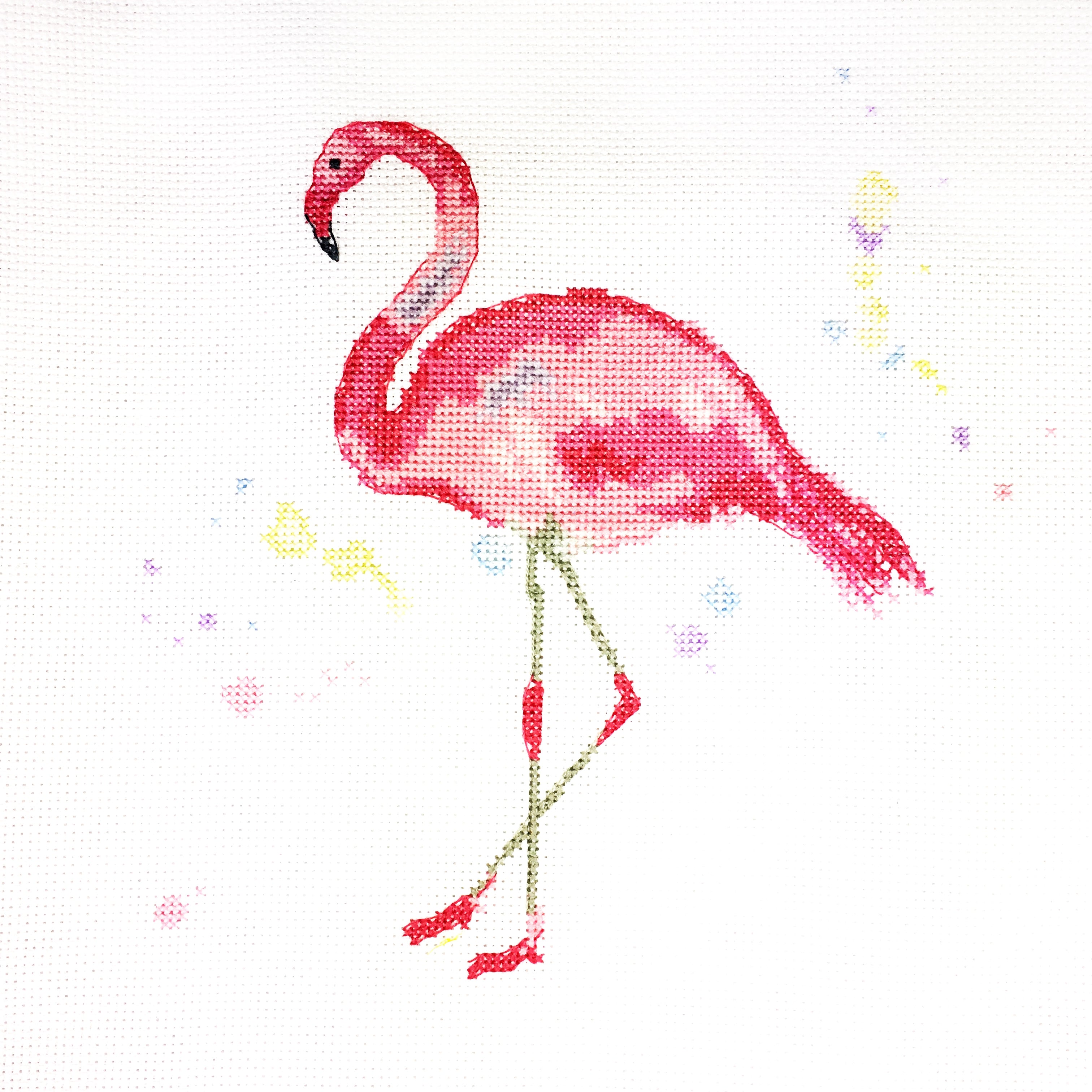 Charlotte Rennie Counted Cross Stitch - Flamboyance