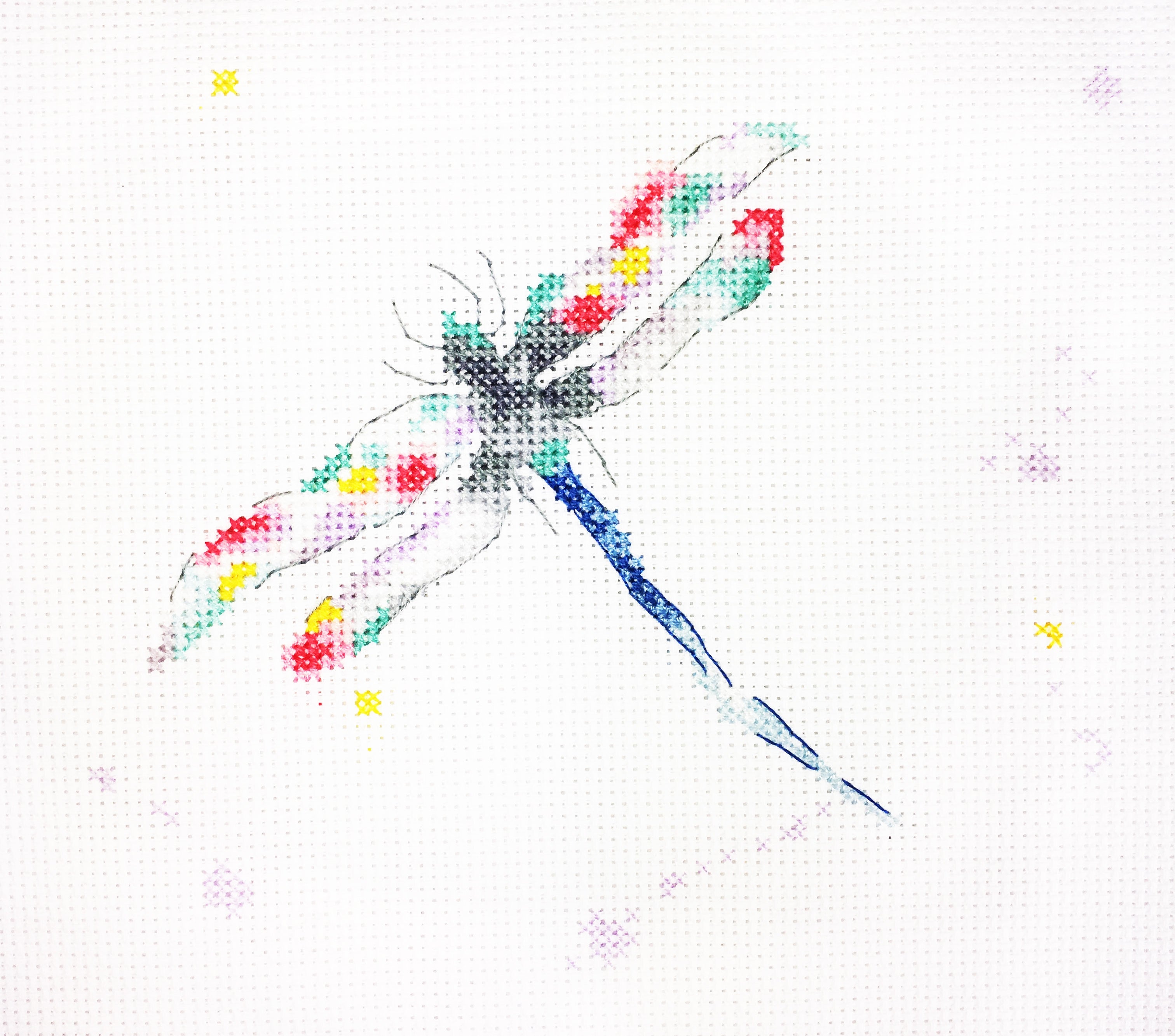 Charlotte Rennie Counted Cross Stitch - Dragonfly Dreams