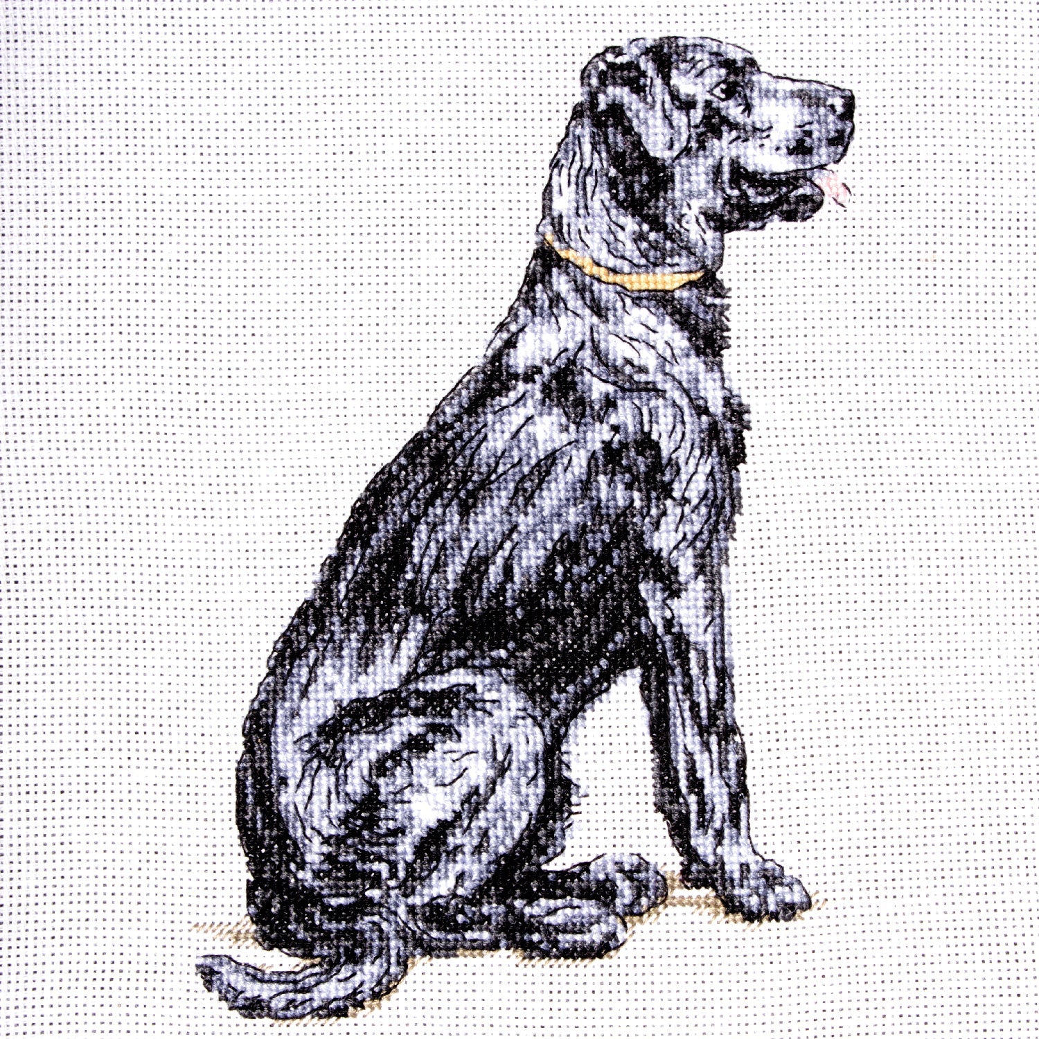 Cecil Aldin Man's Best Friend Cross Stitch Kit - Rex