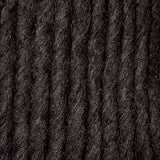 Bernat Roving Chunky Yarn 100g