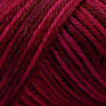 Caron Simply Soft Aran Yarn 141g - Paints & Heathers