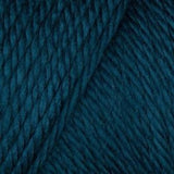 Caron Simply Soft Aran Yarn 170g - Solids