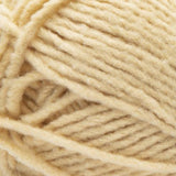 Bernat Forever Fleece Super Chunky Yarn 280g