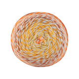 Papatya Swirly Cake Aran Yarn 150g