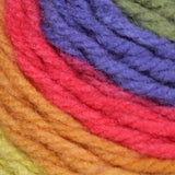 Bernat Pop! Aran Yarn 140g