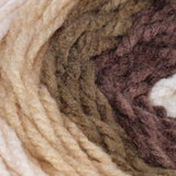 Bernat Pop! Aran Yarn 140g