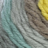 Bernat Pop! Aran Yarn 140g