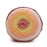 Caron Baby Cakes Aran Yarn 100g