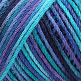 Caron Simply Soft Aran Yarn 141g - Paints & Heathers