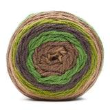 Caron Cakes Self Striping Aran Yarn 200g