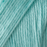 Caron Simply Soft Aran Yarn 170g - Solids